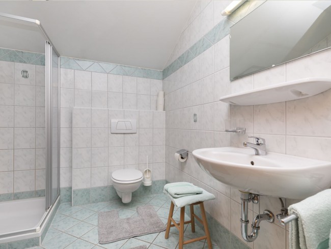 Badezimmer mit Dusche im Appartement 3