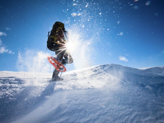 Winterwandern und Schneeschuhwandern im Salzburger Land © Flachau Tourismus | zooom productions